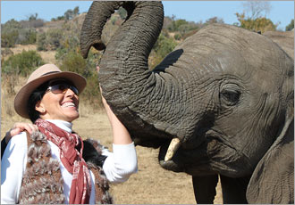 One Day elephant walk experience and aerial cable car ride at Haartebeespoort Dam One Day elephant walk experience and aerial cable car ride at Haartebeespoort Dam