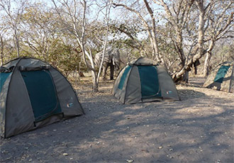 Botswana mobile safari