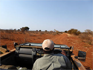 Luxury Game Lodge Okavango Botswana